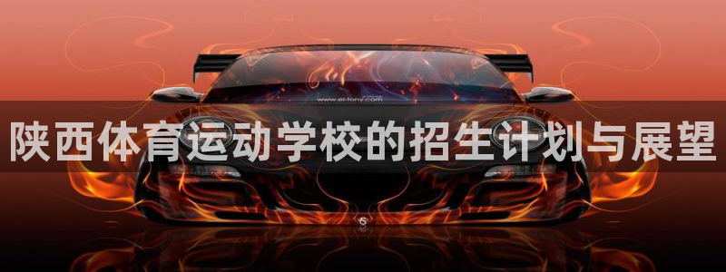 探球体育app官网下载