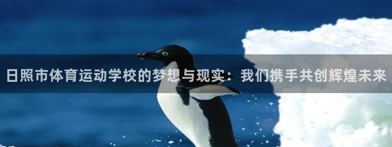 探球体育app官网下载