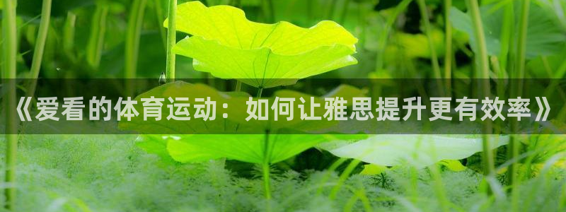 探球体育：《爱看的体育运动：如何让雅思提升更有效率》