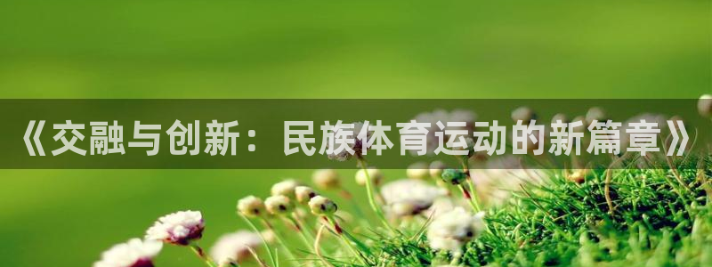 探球体育app官网下载