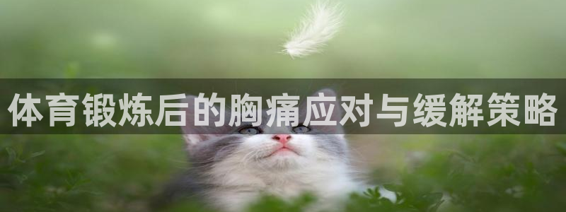 探球体育即时比分
