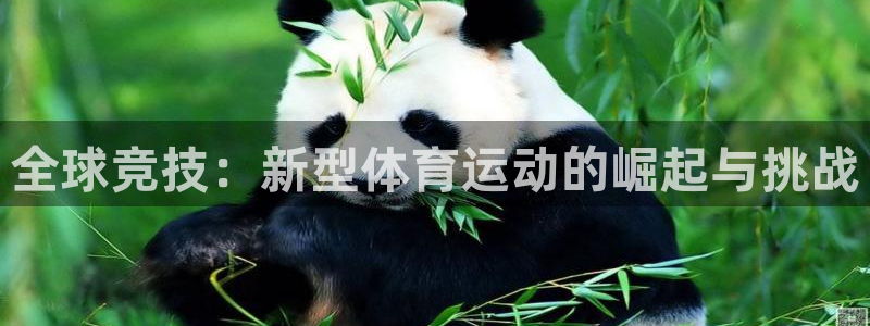 探球体育即时比分：全球竞技：新型体育运动的崛起与挑战