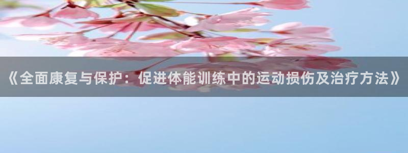 探球体育官网