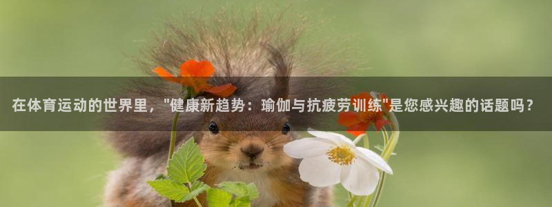 关键词：在体育运动的世界里，\